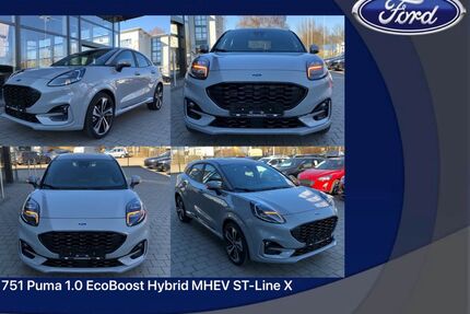 Ford Puma Gebrauchtwagen