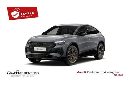 Audi Q4 e-tron Gebrauchtwagen