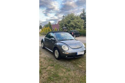 VW Beetle Gebrauchtwagen
