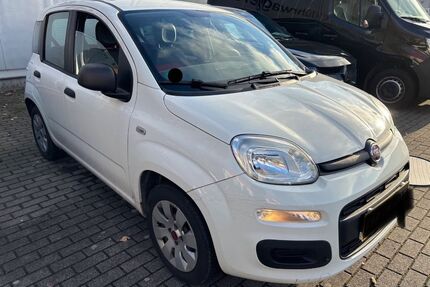 Fiat Panda Gebrauchtwagen