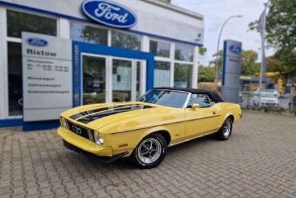 Ford Mustang Gebrauchtwagen