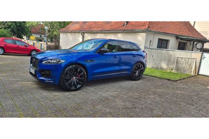Jaguar F-Pace Gebrauchtwagen