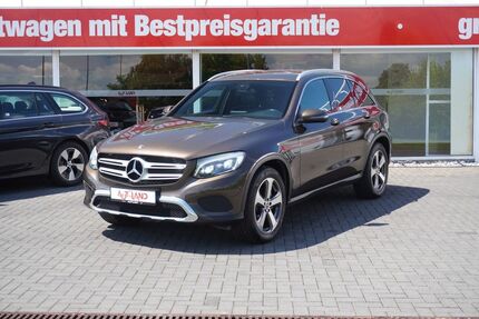 Mercedes-Benz GLC 300 Gebrauchtwagen