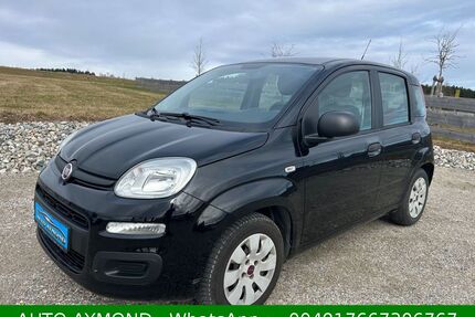 Fiat New Panda Gebrauchtwagen