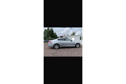 Jaguar XF Gebrauchtwagen