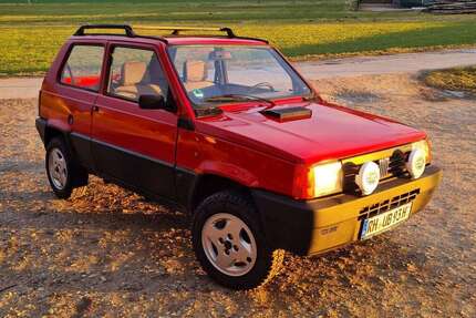 Fiat Panda Gebrauchtwagen