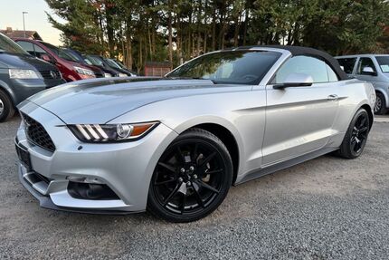 Ford Mustang Gebrauchtwagen