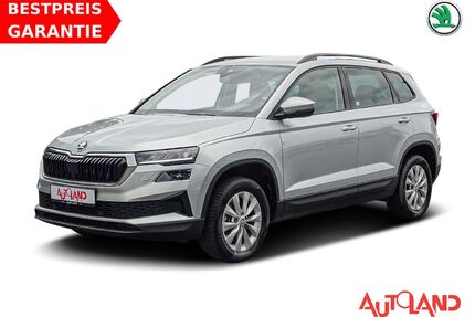 Skoda Karoq Gebrauchtwagen