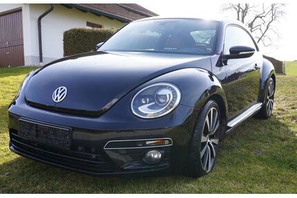 VW Beetle Gebrauchtwagen