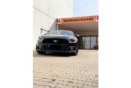 Ford Mustang Gebrauchtwagen