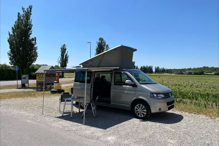 VW T5 California Gebrauchtwagen