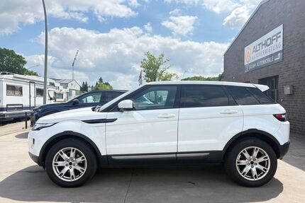 Land Rover Range Rover Evoque Gebrauchtwagen
