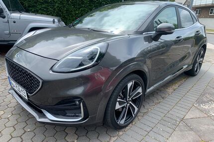 Ford Puma Gebrauchtwagen