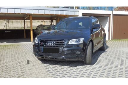 Audi SQ5 Gebrauchtwagen