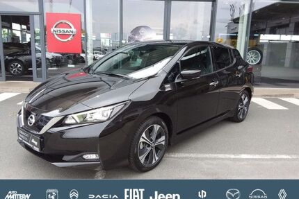 Nissan Leaf Gebrauchtwagen