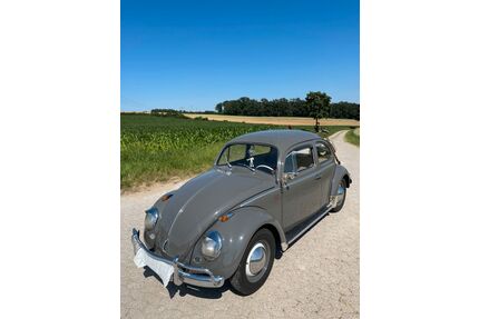 VW Käfer Gebrauchtwagen