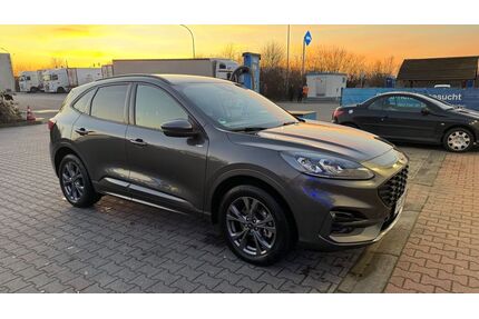 Ford Kuga Gebrauchtwagen