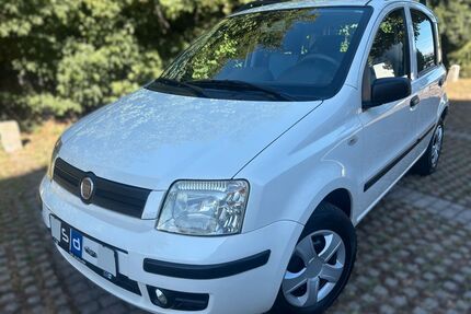 Fiat Panda Gebrauchtwagen