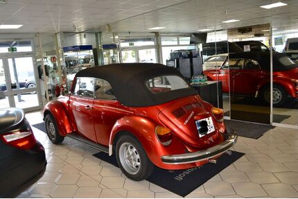 VW Käfer Gebrauchtwagen