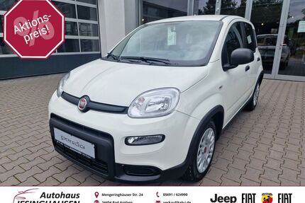Fiat Panda Gebrauchtwagen