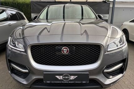 Jaguar F-Pace Gebrauchtwagen