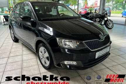Skoda Fabia Gebrauchtwagen
