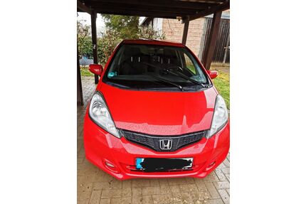 Honda Jazz Gebrauchtwagen