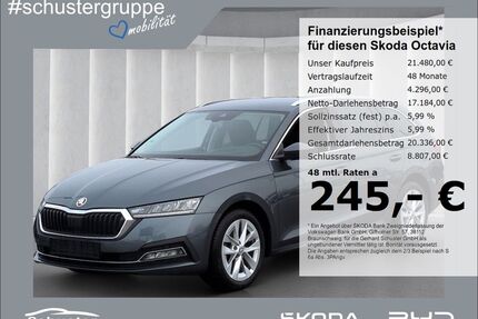 Skoda Octavia Gebrauchtwagen