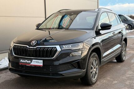 Skoda Karoq Gebrauchtwagen