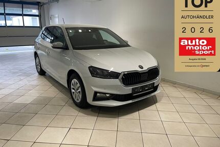 Skoda Fabia Gebrauchtwagen