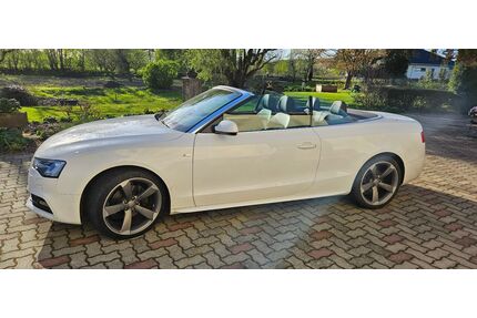 Audi A5 Gebrauchtwagen