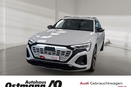 Audi Q8 e-tron Gebrauchtwagen