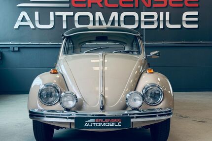 VW Käfer Gebrauchtwagen