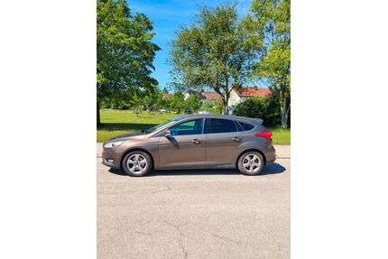 Ford Focus Gebrauchtwagen