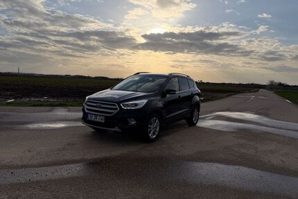 Ford Kuga Gebrauchtwagen