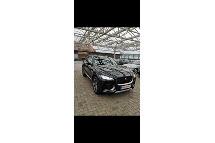 Jaguar F-Pace Gebrauchtwagen