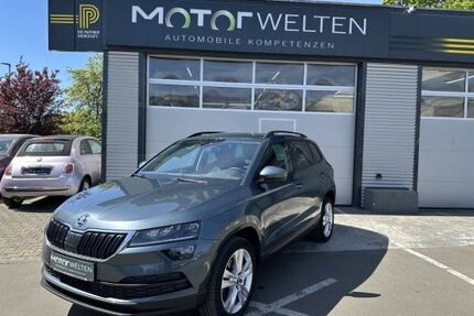 Skoda Karoq Gebrauchtwagen