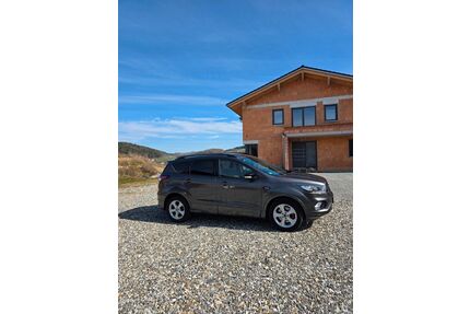Ford Kuga Gebrauchtwagen