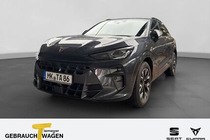 Cupra Terramar Gebrauchtwagen