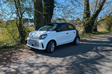 Smart ForFour Gebrauchtwagen