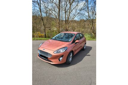 Ford Fiesta Gebrauchtwagen