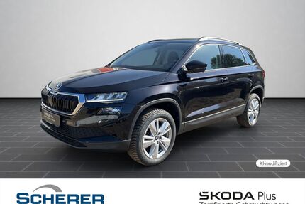 Skoda Karoq Gebrauchtwagen