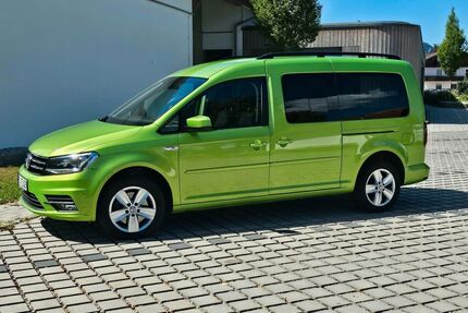 VW Caddy Maxi Gebrauchtwagen