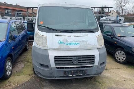 Fiat Ducato Gebrauchtwagen