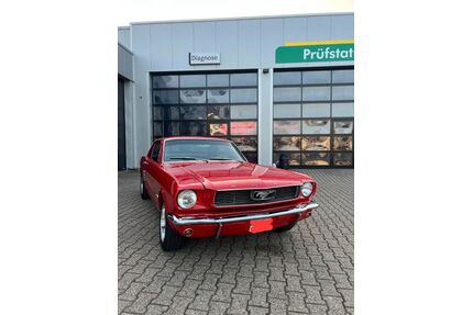 Ford Mustang Gebrauchtwagen