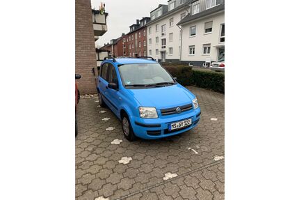Fiat Panda Gebrauchtwagen