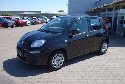 Fiat Panda Gebrauchtwagen