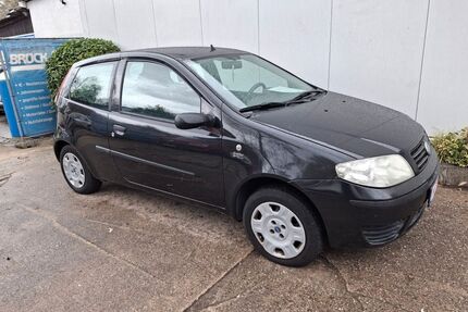 Fiat Punto Gebrauchtwagen