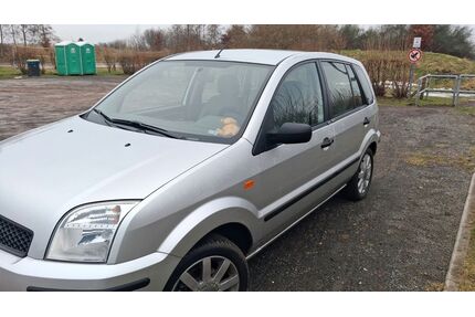 Ford Fusion Gebrauchtwagen