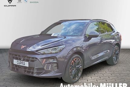 Cupra Terramar Gebrauchtwagen